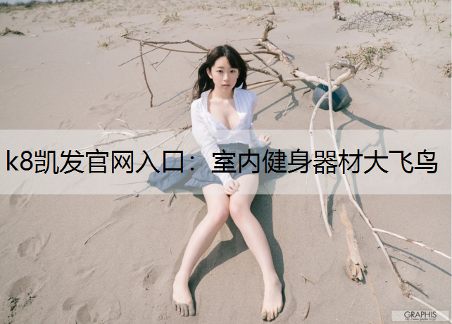 k8凯发官网入口：室内健身器材大飞鸟
