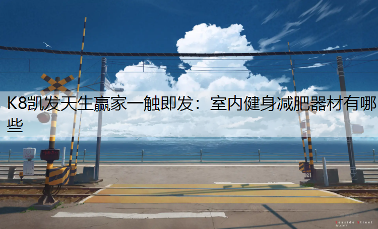 K8凯发天生赢家一触即发：室内健身减肥器材有哪些