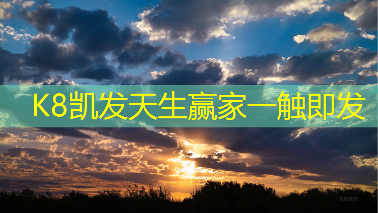 K8凯发中国官方网站：塑胶跑道结构详细讲解图