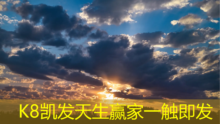 K8凯发天生赢家一触即发：淄博新国标塑胶跑道