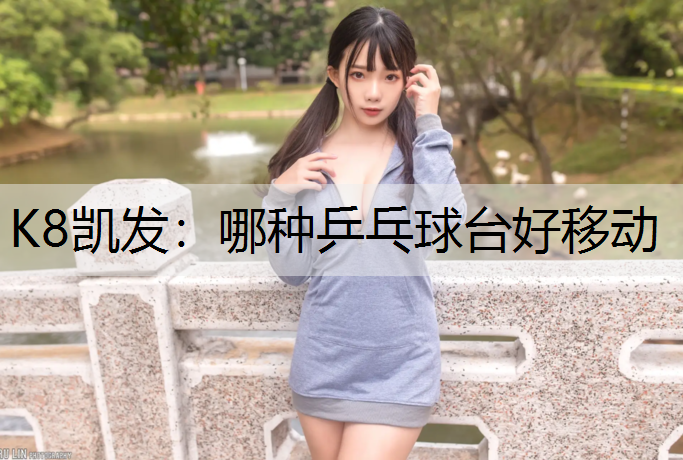 哪种乒乓球台好移动