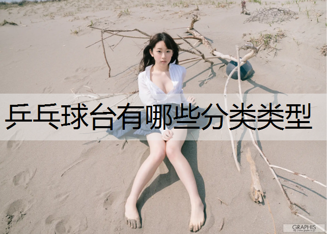 乒乓球台有哪些分类类型