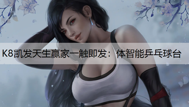 体智能乒乓球台