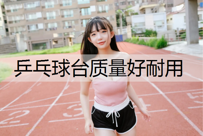 乒乓球台质量好耐用