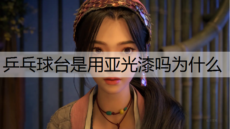 乒乓球台是用亚光漆吗为什么