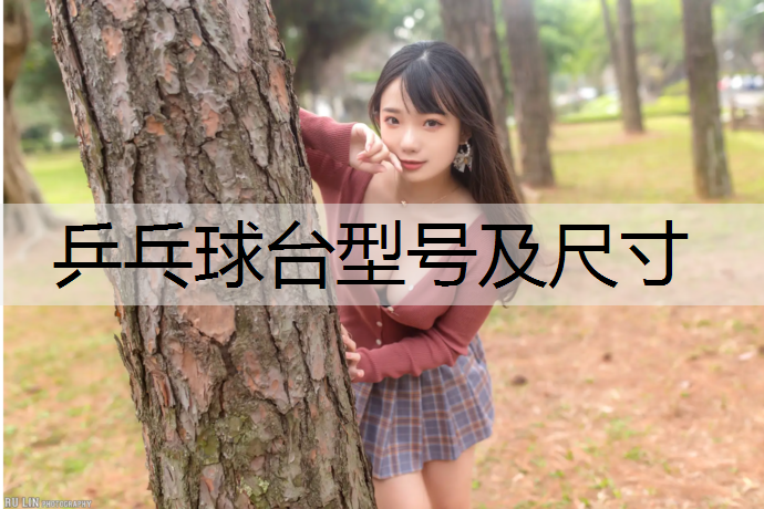 乒乓球台型号及尺寸