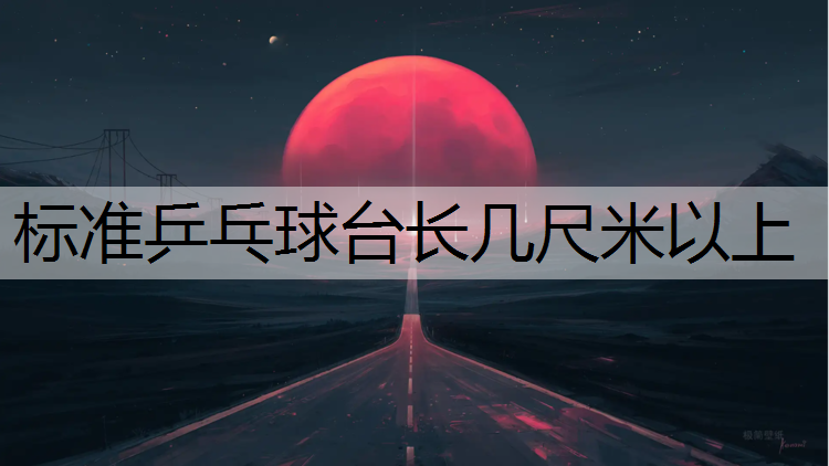 标准乒乓球台长几尺米以上